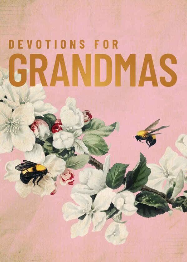 Devotions for Grandmas by Zondervan, Hardcover | Indigo Chapters