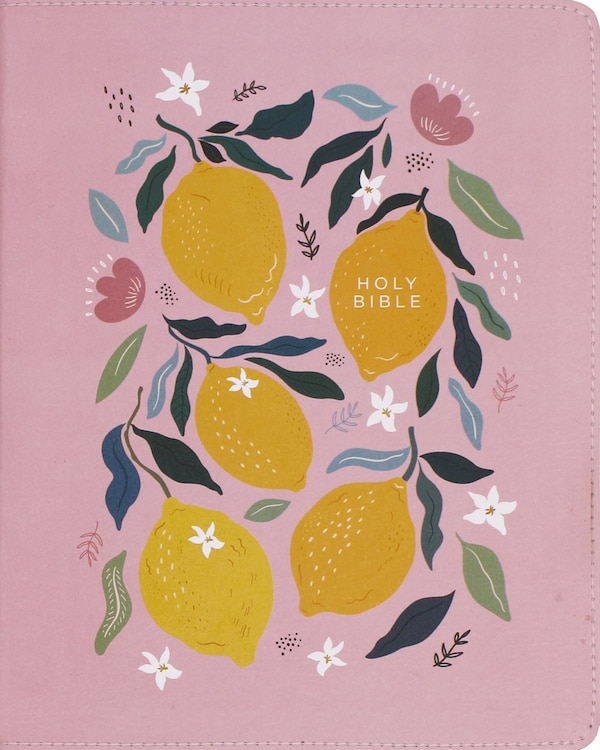NIV Journal the Word Bible (Perfect for Note-Taking) Double-Column Leathersoft Pink Red Letter Comfort Print by Zondervan | Indigo Chapters