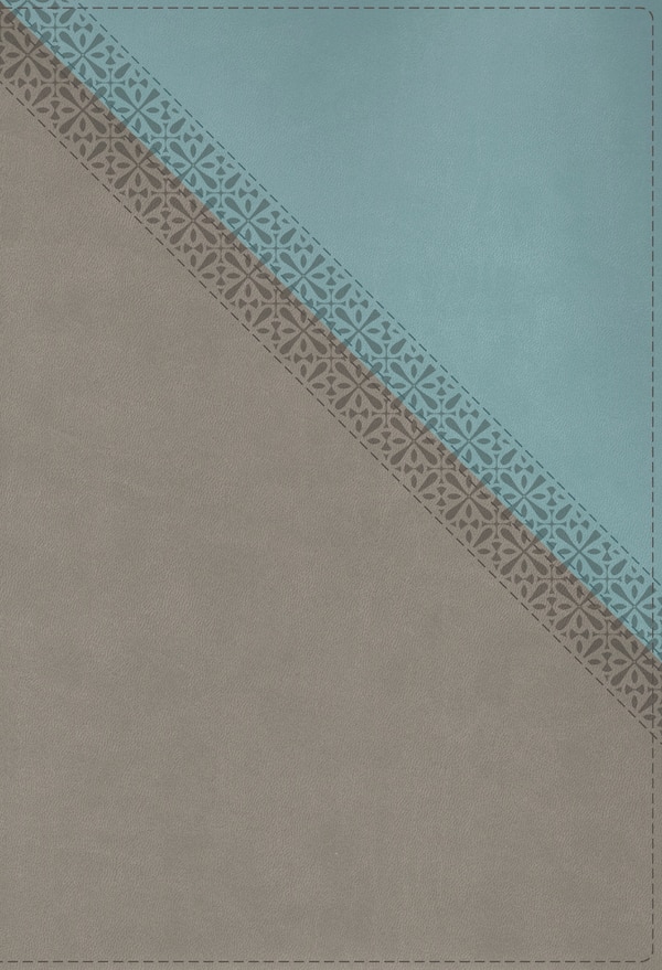 NIV Application Bible Leathersoft Teal/Grey Red Letter Thumb Indexed Comfort Print by Zondervan, Leather/Fine Binding | Indigo Chapters