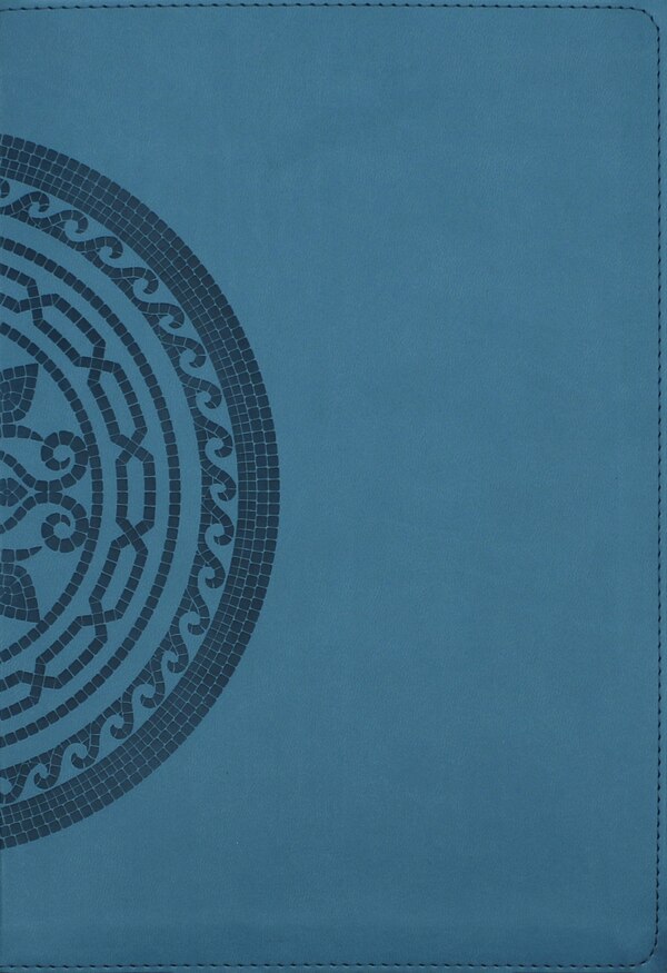 NIV Application Bible Large Print Leathersoft Teal Red Letter Comfort Print by Zondervan, Leather/Fine Binding | Indigo Chapters