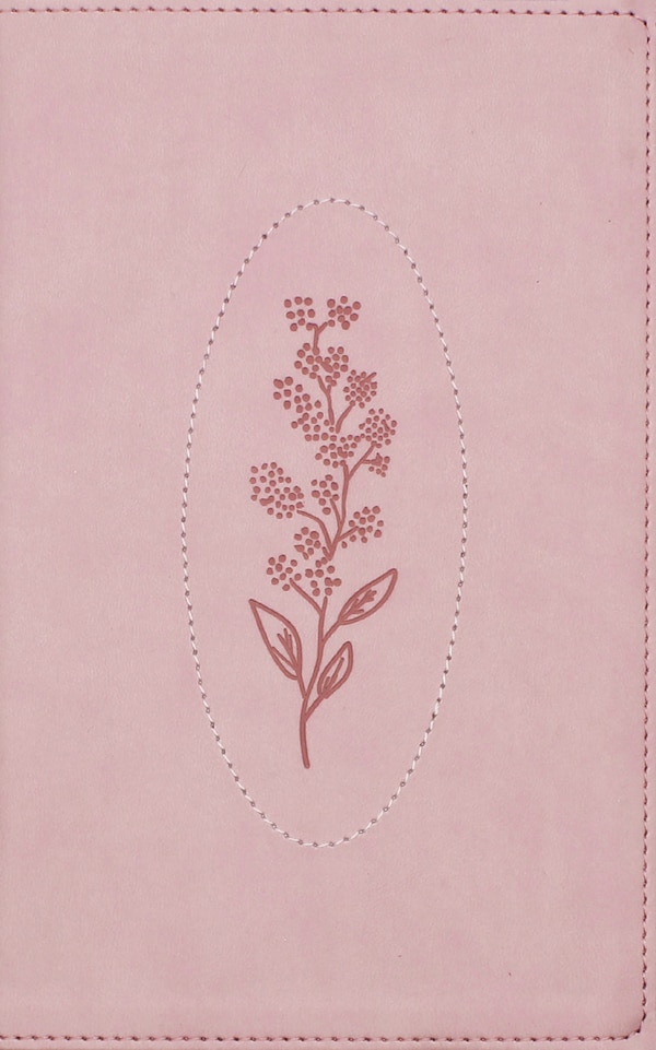 NIV Spiritual Habits Bible Leathersoft Pink Red Letter Thumb Indexed Comfort Print by Zondervan, Leather/Fine Binding | Indigo Chapters