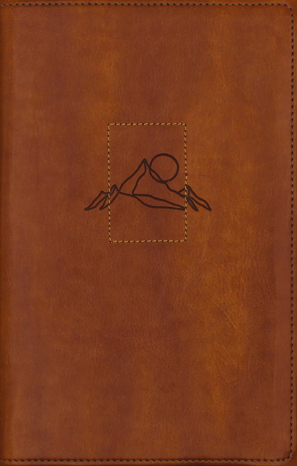 NIV Spiritual Habits Bible Leathersoft Tan Red Letter Thumb Indexed Comfort Print by Zondervan, Leather/Fine Binding | Indigo Chapters