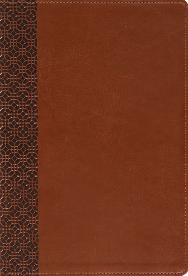 Amplified Holy Bible Large Print Leathersoft Brown by Zondervan, Leather/Fine Binding | Indigo Chapters