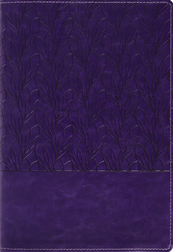Amplified Holy Bible Large Print Leathersoft Purple by Zondervan, Leather/Fine Binding | Indigo Chapters