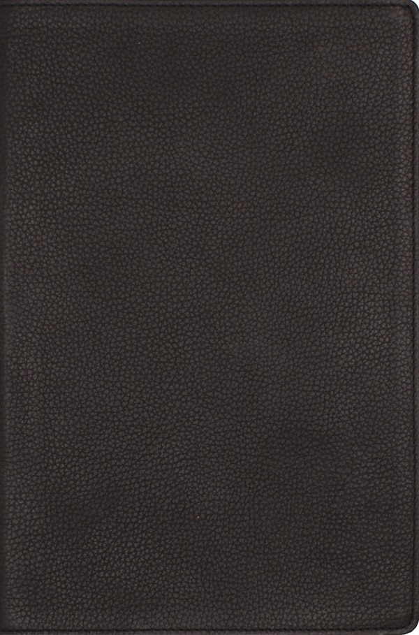 NRSVue Single-Column Reference Bible Genuine Calfskin Leather Black Art Gilded Edges Comfort Print by Zondervan, Leather/Fine Binding