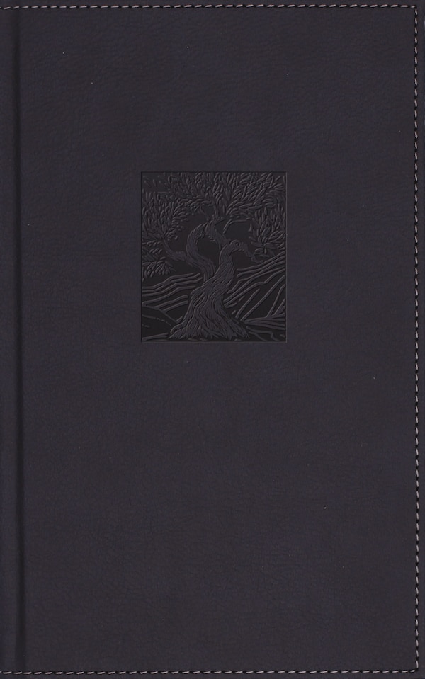 NIV Heritage Bible Page Edge Art Edition Leathersoft over Board Navy Red Letter Comfort Print by Zondervan, Imitation Leather | Indigo Chapters