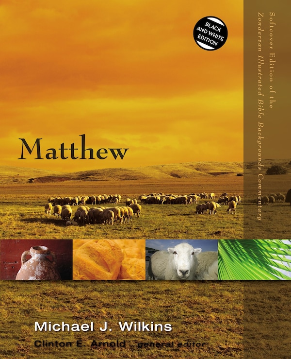 Matthew by Michael J. Wilkins, Paperback | Indigo Chapters