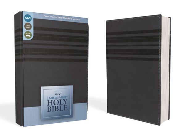 Nirv Holy Bible Large Print Leathersoft Blue by Zondervan Zondervan, Leather/Fine Binding | Indigo Chapters