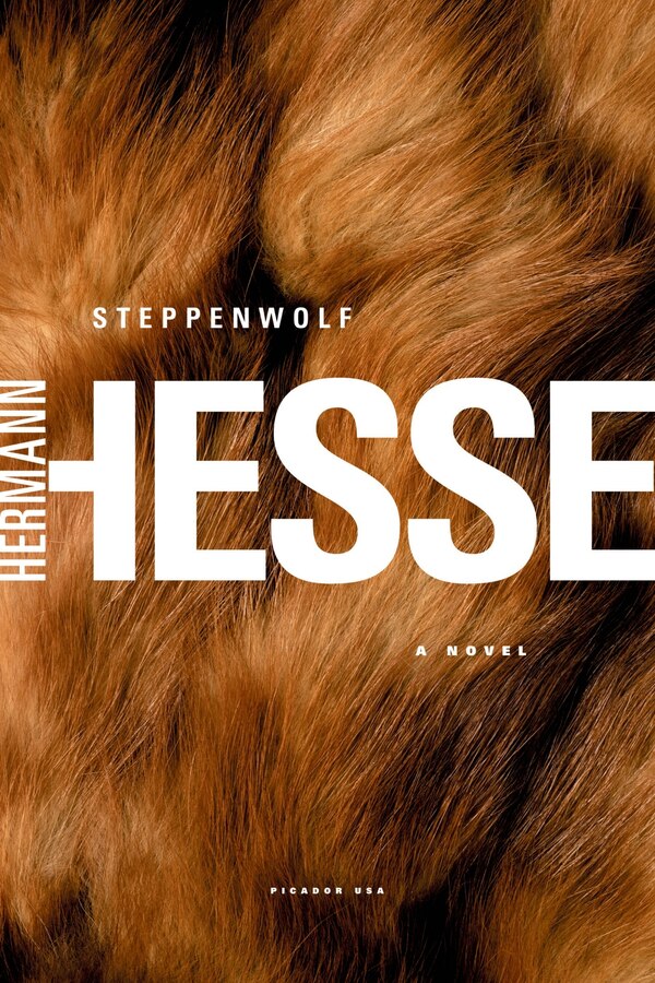 Steppenwolf by HERMANN HESSE, Paperback | Indigo Chapters