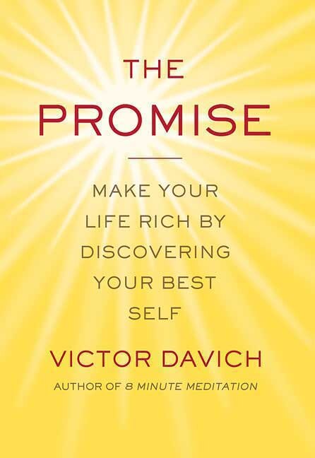 The Promise by Victor Davich, Paperback | Indigo Chapters