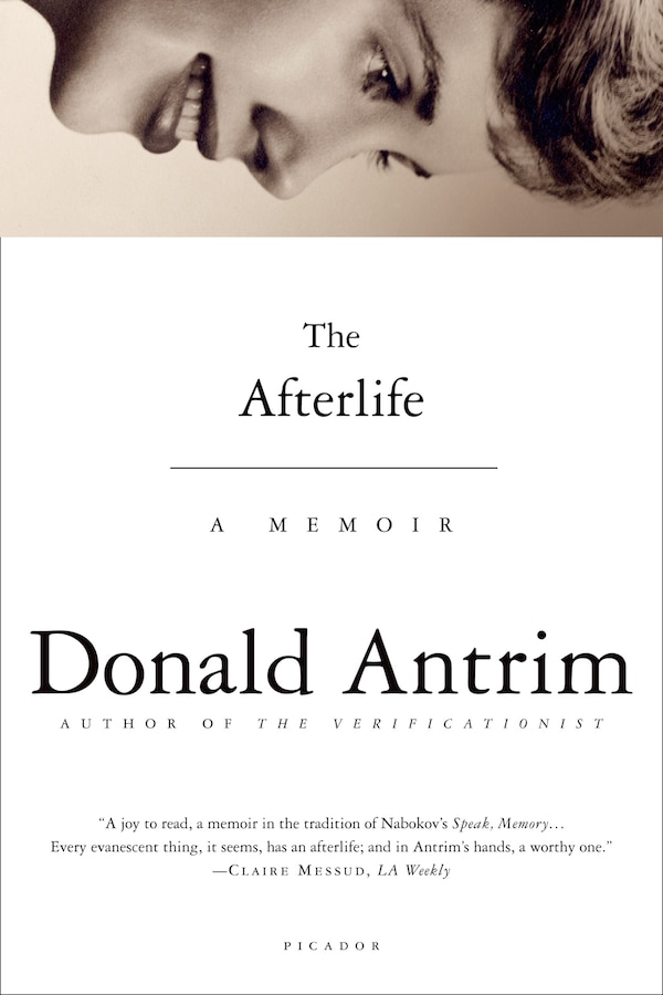 The Afterlife by Donald Antrim, Paperback | Indigo Chapters
