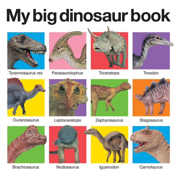 My Big Dinosaur Book by Roger Priddy, Board Book | Indigo Chapters