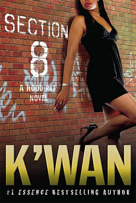 Section 8 by K'Wan K'wan, Paperback | Indigo Chapters