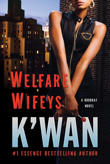 Welfare Wifeys by K'Wan K'wan, Paperback | Indigo Chapters