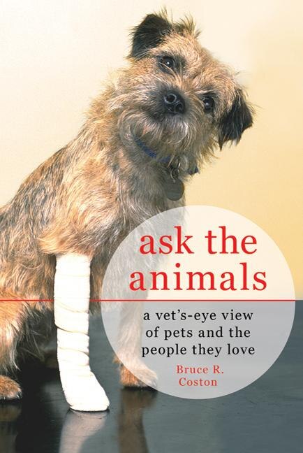 Ask The Animals by Bruce R. Coston, Paperback | Indigo Chapters