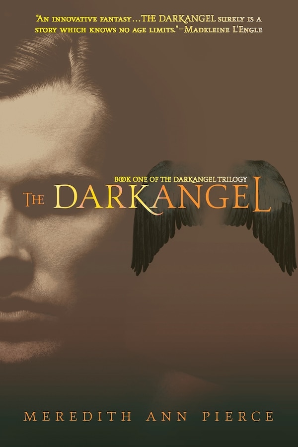 The Darkangel by Meredith Ann Pierce, Paperback | Indigo Chapters