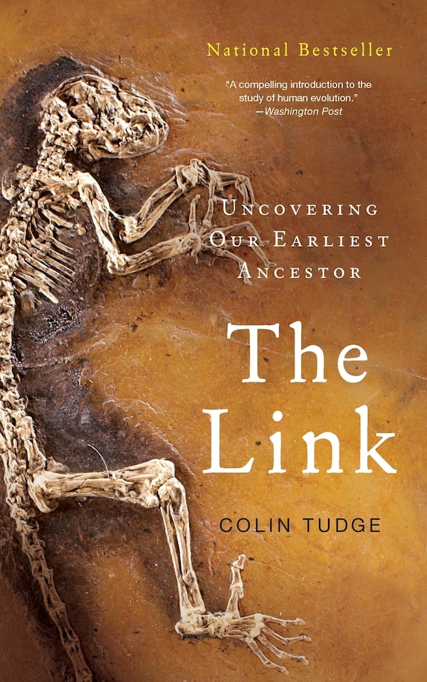 The Link by Colin Tudge, Paperback | Indigo Chapters