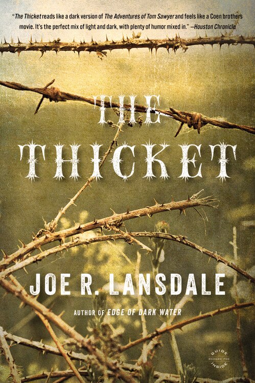 The Thicket by Joe R. Lansdale, Paperback | Indigo Chapters