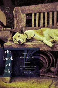 The Book of Why by Nicholas Montemarano, Paperback | Indigo Chapters