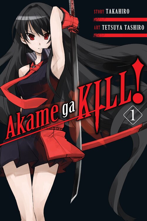 Akame Ga Kill Vol. 1 by Takahiro Takahiro, Paperback | Indigo Chapters