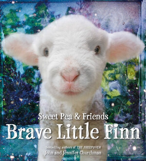 Brave Little Finn by Jennifer Churchman, Picture Books | Indigo Chapters