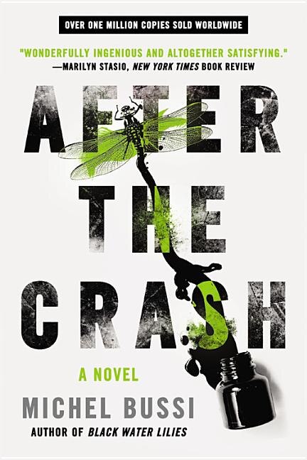 After the Crash by Michel Bussi, Paperback | Indigo Chapters