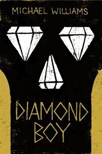 Diamond Boy by Michael Williams, Hardcover | Indigo Chapters