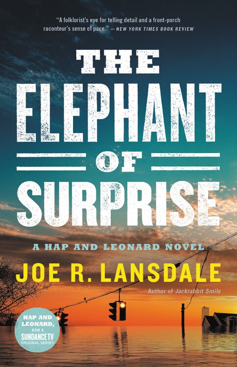 The Elephant of Surprise by Joe R. Lansdale, Hardcover | Indigo Chapters