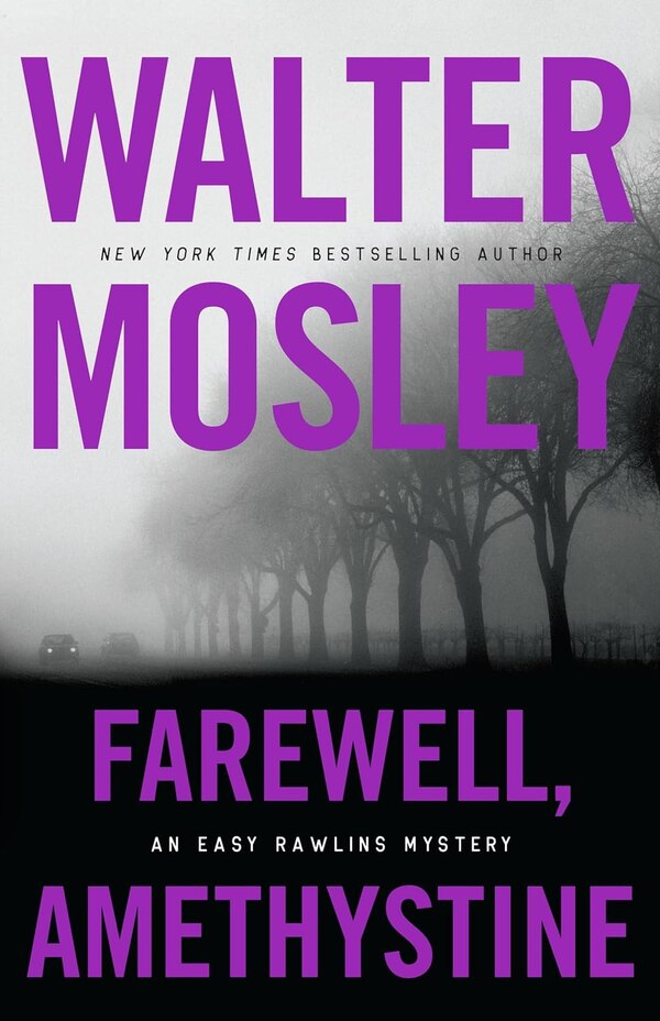 Farewell Amethystine by Walter Mosley, Hardcover | Indigo Chapters