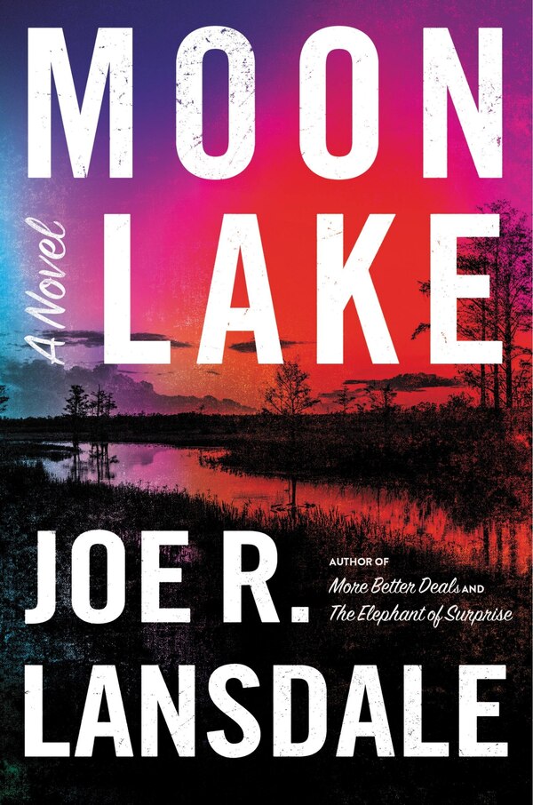 Moon Lake by Joe R. Lansdale, Hardcover | Indigo Chapters