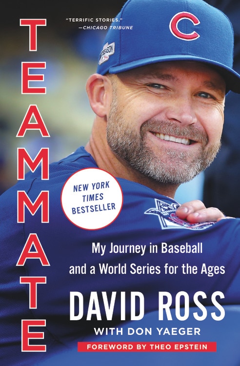 Teammate by David Ross, Paperback | Indigo Chapters