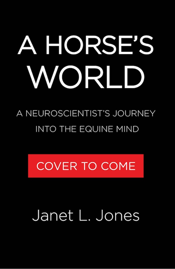 A Horse's World by Janet L. Jones, Hardcover | Indigo Chapters