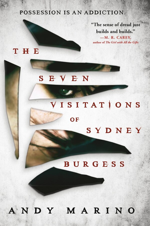 The Seven Visitations of Sydney Burgess by Andy Marino, Paperback | Indigo Chapters