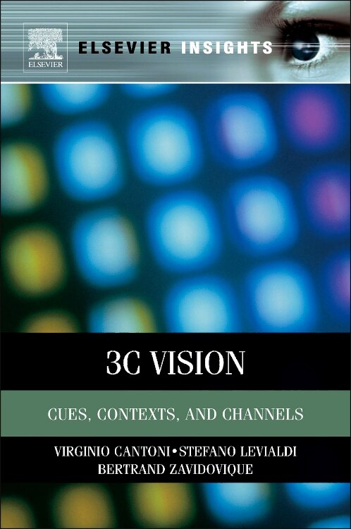3c Vision by Virginio Cantoni, Paperback | Indigo Chapters