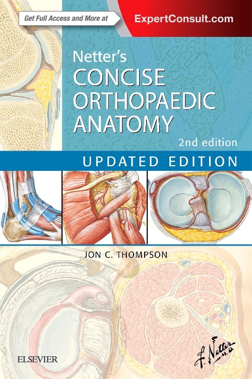 Netter's Concise Orthopaedic Anatomy Updated Edition by Jon C. Thompson, Paperback | Indigo Chapters