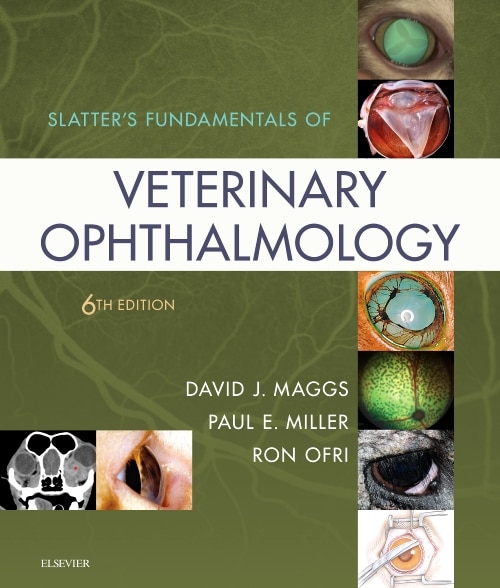 Slatter's Fundamentals Of Veterinary Ophthalmology by David J. Maggs, Hardcover | Indigo Chapters