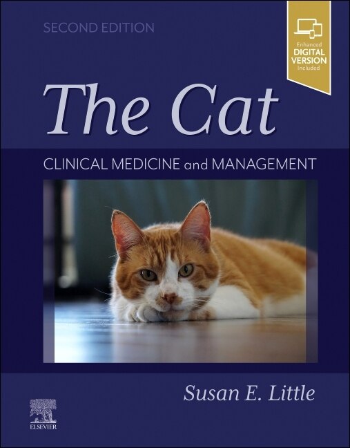 The Cat by Susan E. Little, Hardcover | Indigo Chapters