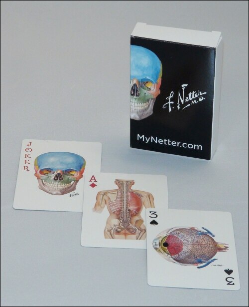 Netter Playing Cards by Frank H. Netter, Hardcover | Indigo Chapters