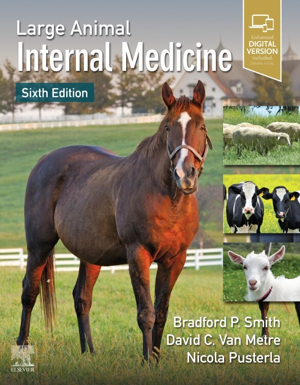 Large Animal Internal Medicine by Bradford P. Smith, Hardcover | Indigo Chapters