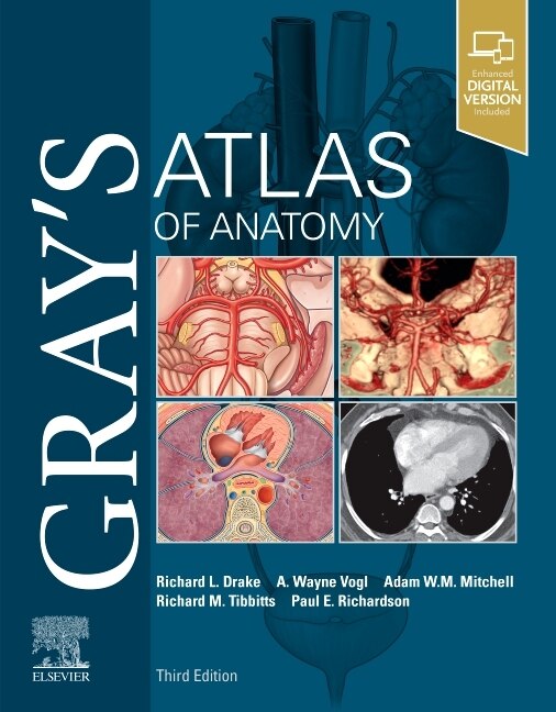 Gray's Atlas Of Anatomy by Richard L. Drake, Paperback | Indigo Chapters