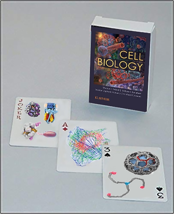 Cell Biology Playing Cards by Thomas D. Pollard, Hardcover | Indigo Chapters