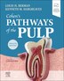 Cohen&#x27;s Pathways Of The Pulp by Louis H. Berman, Hardcover | Indigo Chapters