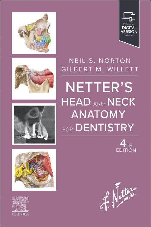 Netter's Head and Neck Anatomy for Dentistry by Neil S. Norton, Paperback | Indigo Chapters