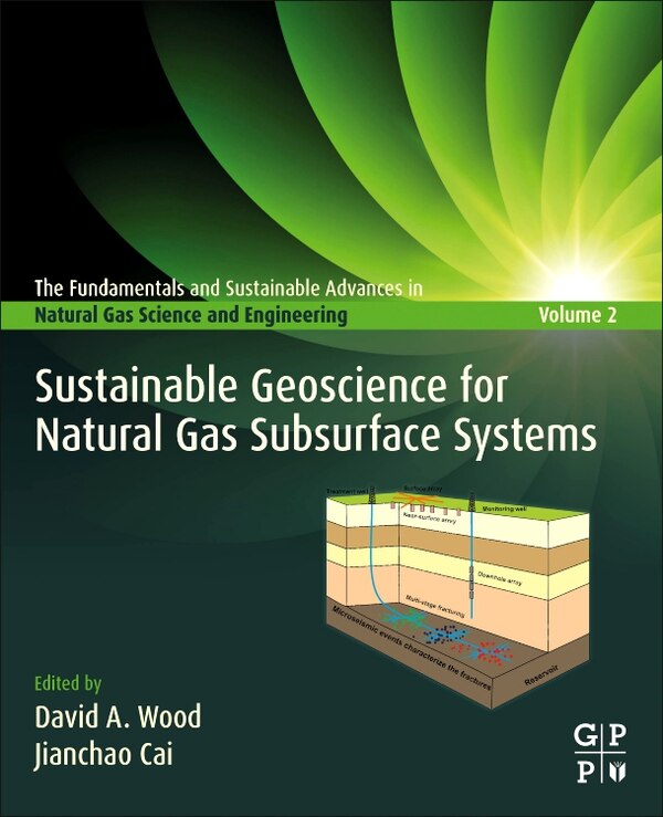 Sustainable Geoscience For Natural Gas Subsurface Systems by David Wood, Paperback | Indigo Chapters