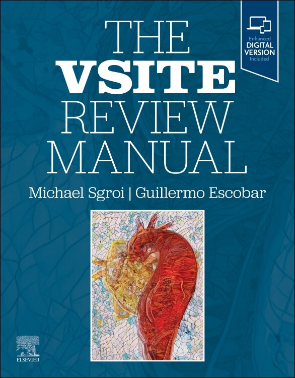The Vsite Review Manual by Michael D. Sgroi, Paperback | Indigo Chapters