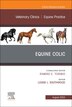 Equine Colic An Issue of Veterinary Clinics of North America by Louise L. Southwood, Hardcover | Indigo Chapters
