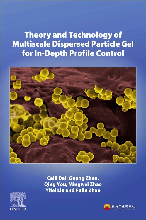 Theory And Technology Of Multiscale Dispersed Particle Gel For In-depth Profile Control by Caili Dai, Paperback | Indigo Chapters