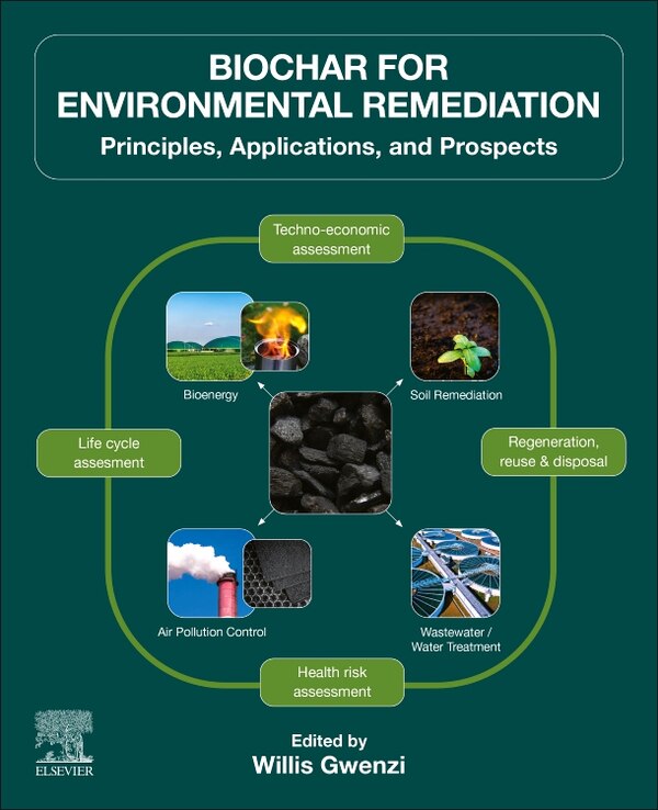 Biochar for Environmental Remediation by Willis Gwenzi, Paperback | Indigo Chapters