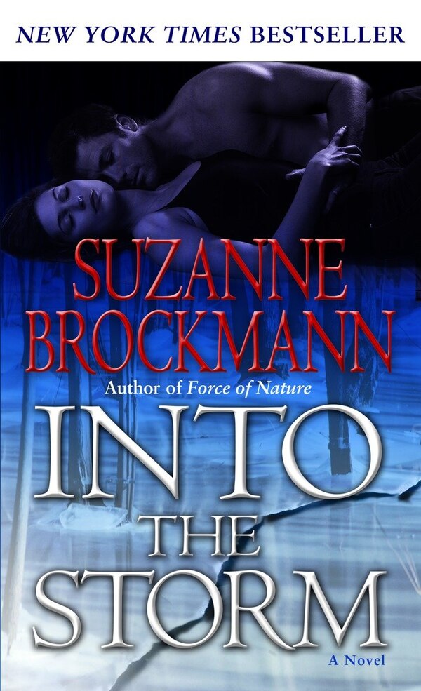 Into The Storm by Suzanne Brockmann, Mass Market Paperback | Indigo Chapters