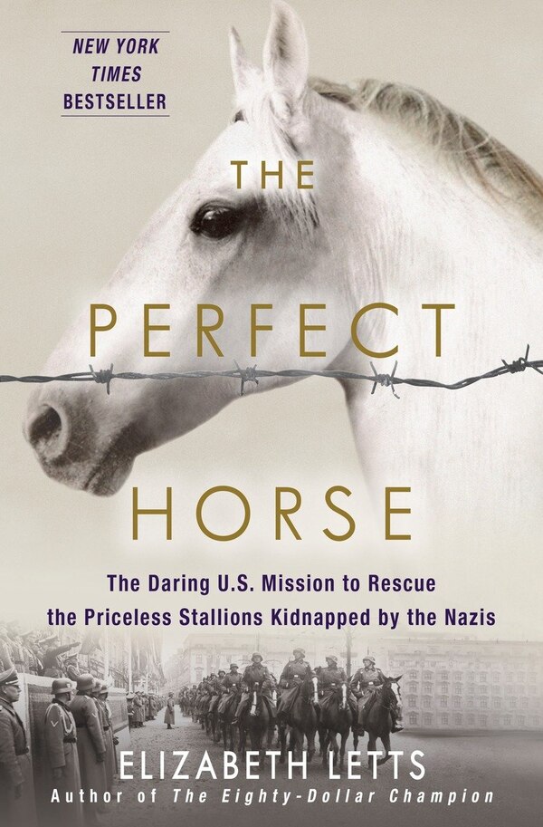 The Perfect Horse by Elizabeth Letts, Hardcover | Indigo Chapters